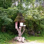 Bed and Breakfast Apartamenty W Dolinie Koscieliskiej 4*