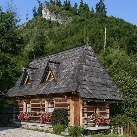 W Dolinie Koscieliskiej