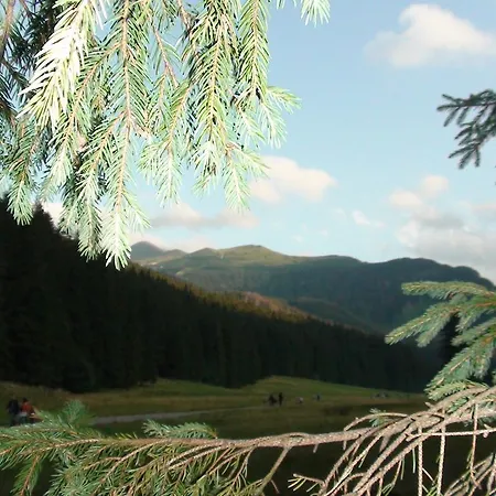 W Dolinie Koscieliskiej Bed & Breakfast