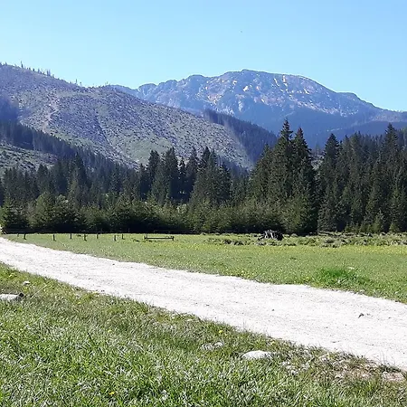 W Dolinie Koscieliskiej Panzió 4*