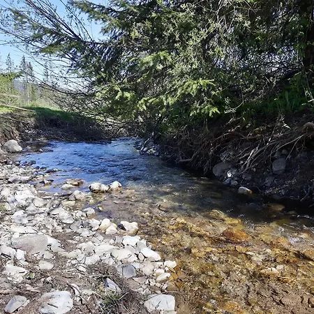 Harnaś Kościelisko