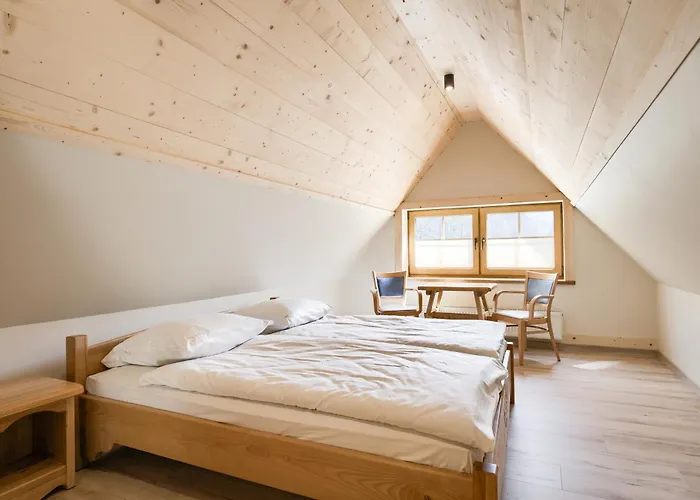 Bed & Breakfast Harnas 3*