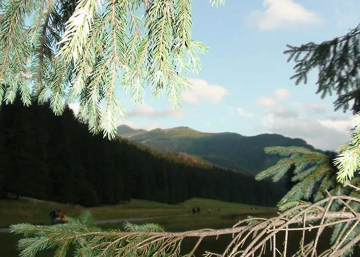 Harnas Bed & Breakfast