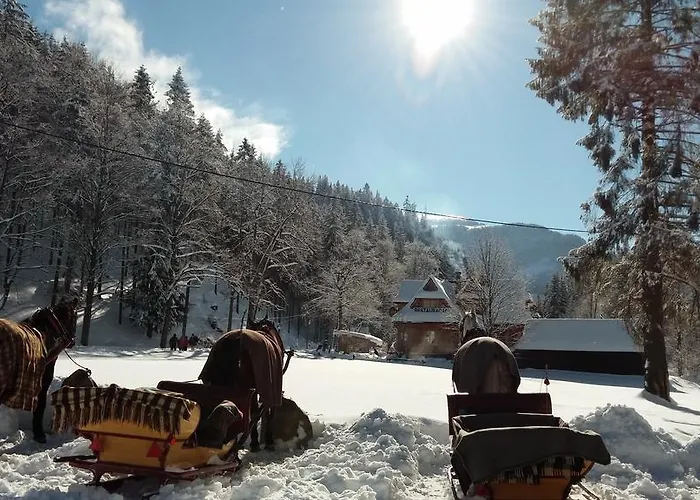 Harnas Bed & Breakfast