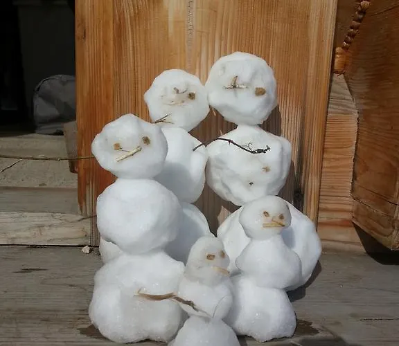 Harnas Bed & Breakfast