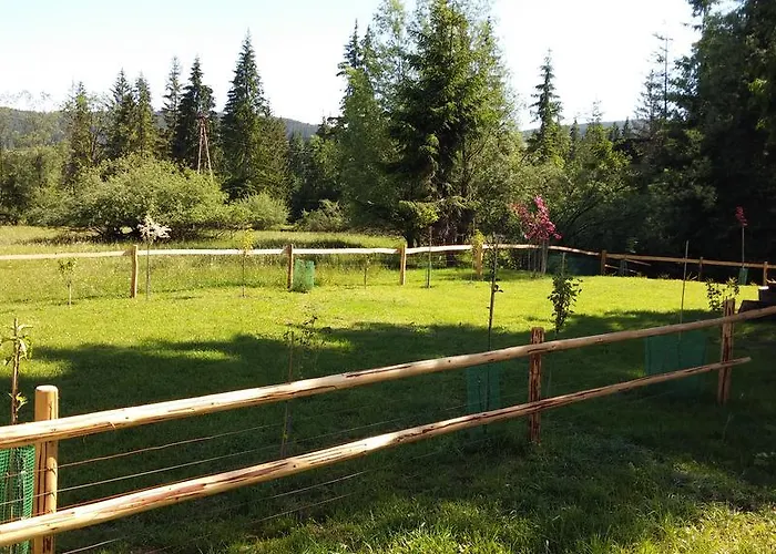 Harnaś Kościelisko