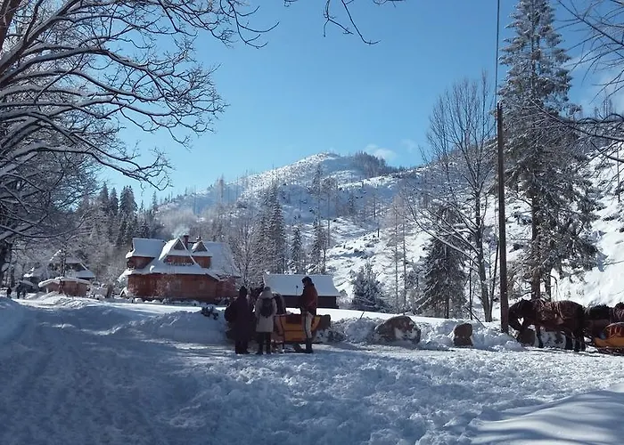 Bed & Breakfast Harnas 3*